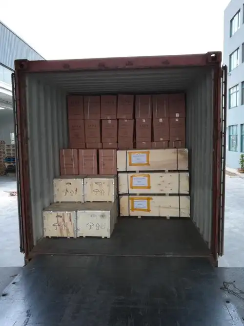 Carga de cajas en un contenedor para transporte marítimo internacional desde China